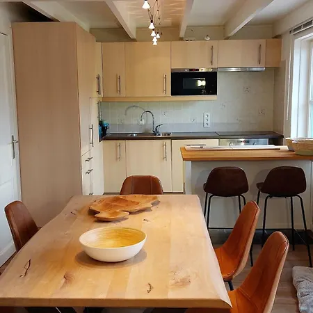 Holiday home Zeepolder I 45 De Haan