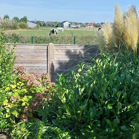 Zeepolder I 45 De Haan
