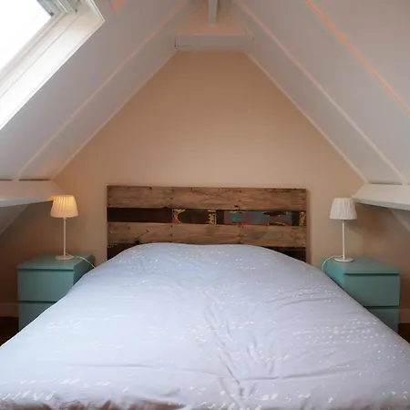 Zeepolder I 45 * Le Coq