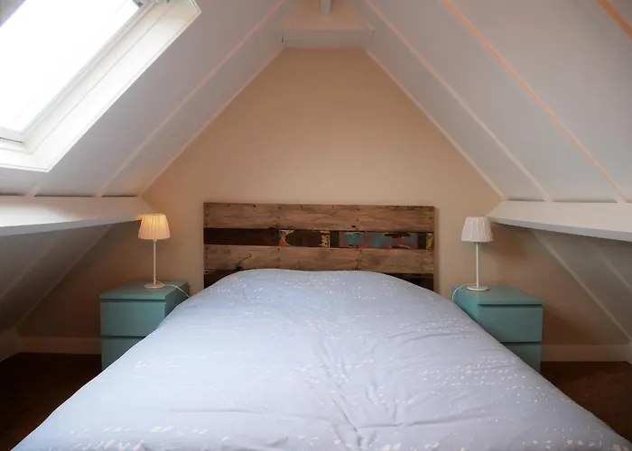 Zeepolder I 45 * Le Coq